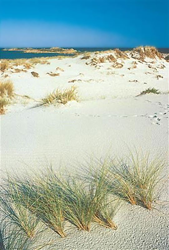 Spiaggia di Capo Comino