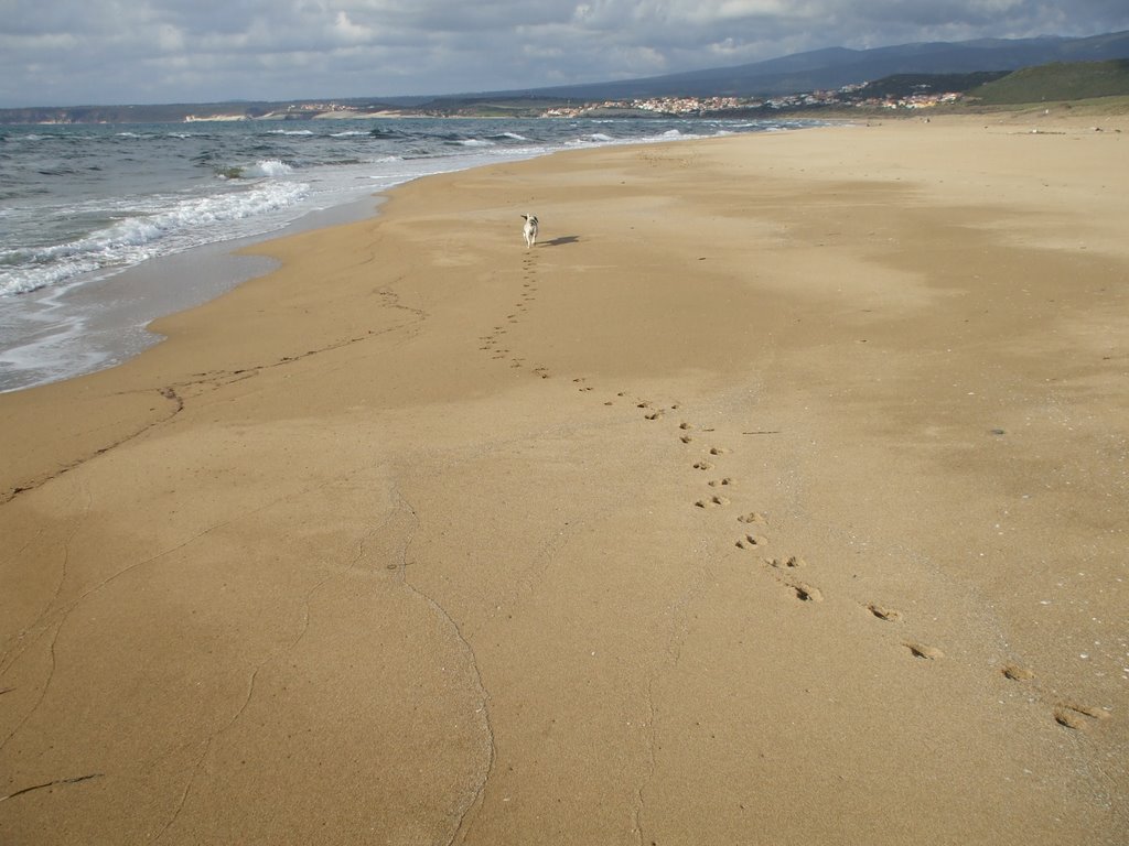 Spiaggia Is Arenas